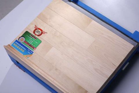 长春运动地板效果图