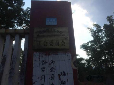 哪里有专业篮球馆木地板