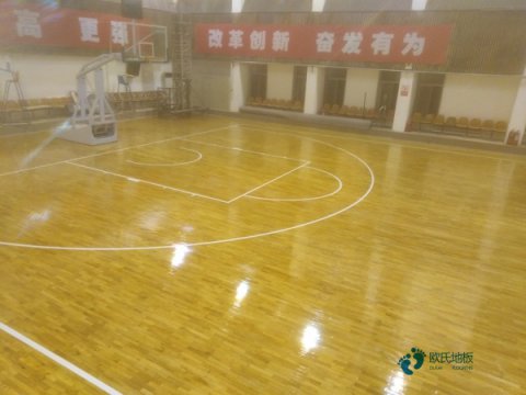 枫木运动馆木地板清洁保养