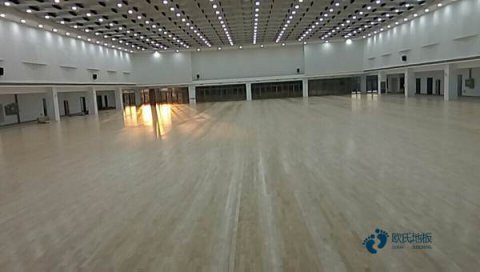 定做运动馆木地板安装公司
