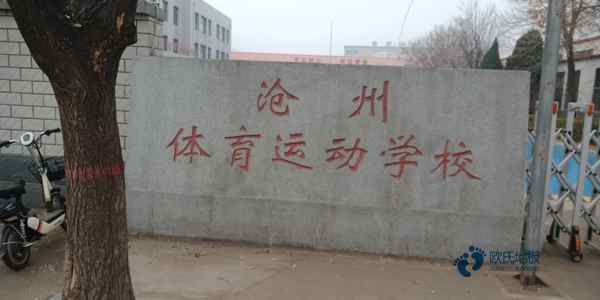 优惠的篮球木地板厂家报价