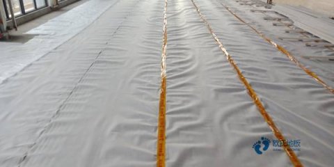 学校运动馆地板施工团队