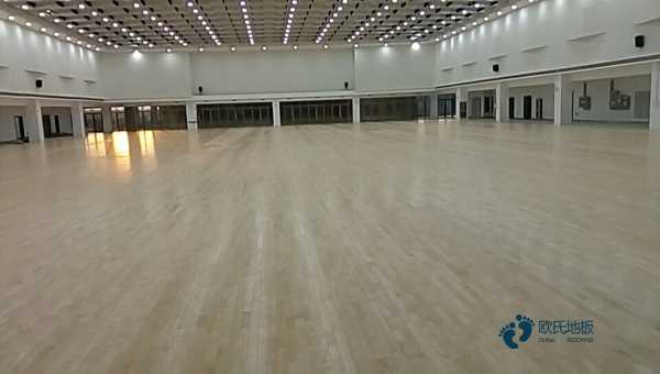运动馆地板哪家性价比高