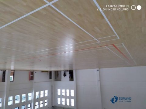 质量好运动篮球木地板价钱
