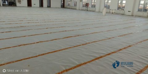 双龙骨运动篮球木地板价格