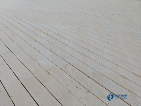 专用运动篮球木地板价格多少