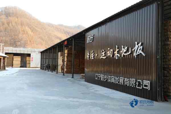 去哪买运动篮球木地板平米价