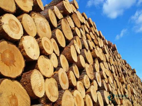 那里有运动篮球木地板多少钱一平方米