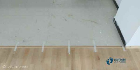 实木体育地板为什么会鼓起来