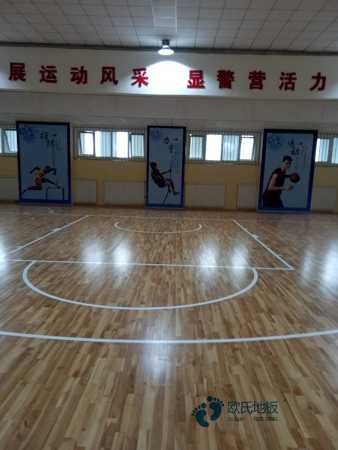 学校篮球木地板木纹型2