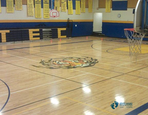 专业运动篮球木地板哪个牌子性价比高