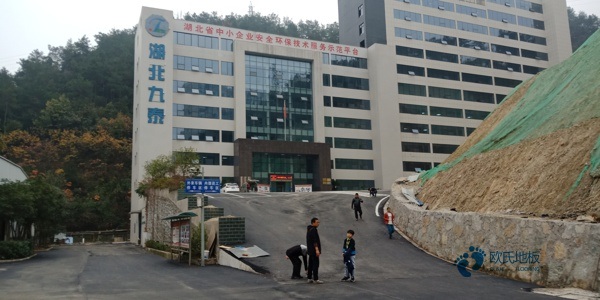 弹性运动场馆木地板品牌1