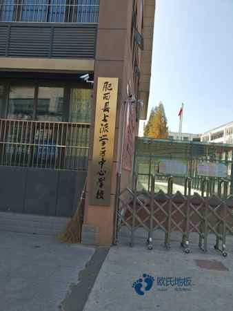 弹性运动场馆木地板品牌3