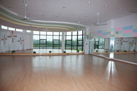 松木舞台运动体育木地板哪个牌子较环保